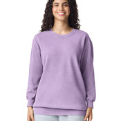 Adult Crewneck Sweatshirt